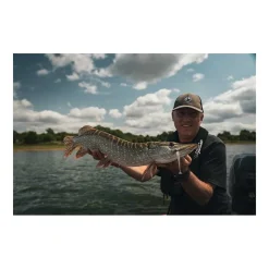 Leurre Souple Fox Rage Scent Shads 13cm