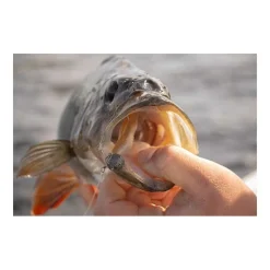 Leurre Souple Fox Rage Scent Shads 13cm