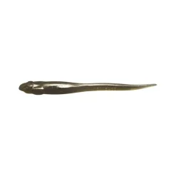 Leurre Souple Megabass Hazedong 13cm
