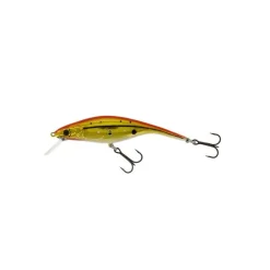 Leurre Westin Platypus DR 100mm