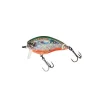 Leurre Yo-Zuri 3DS Crank SSR 5cm