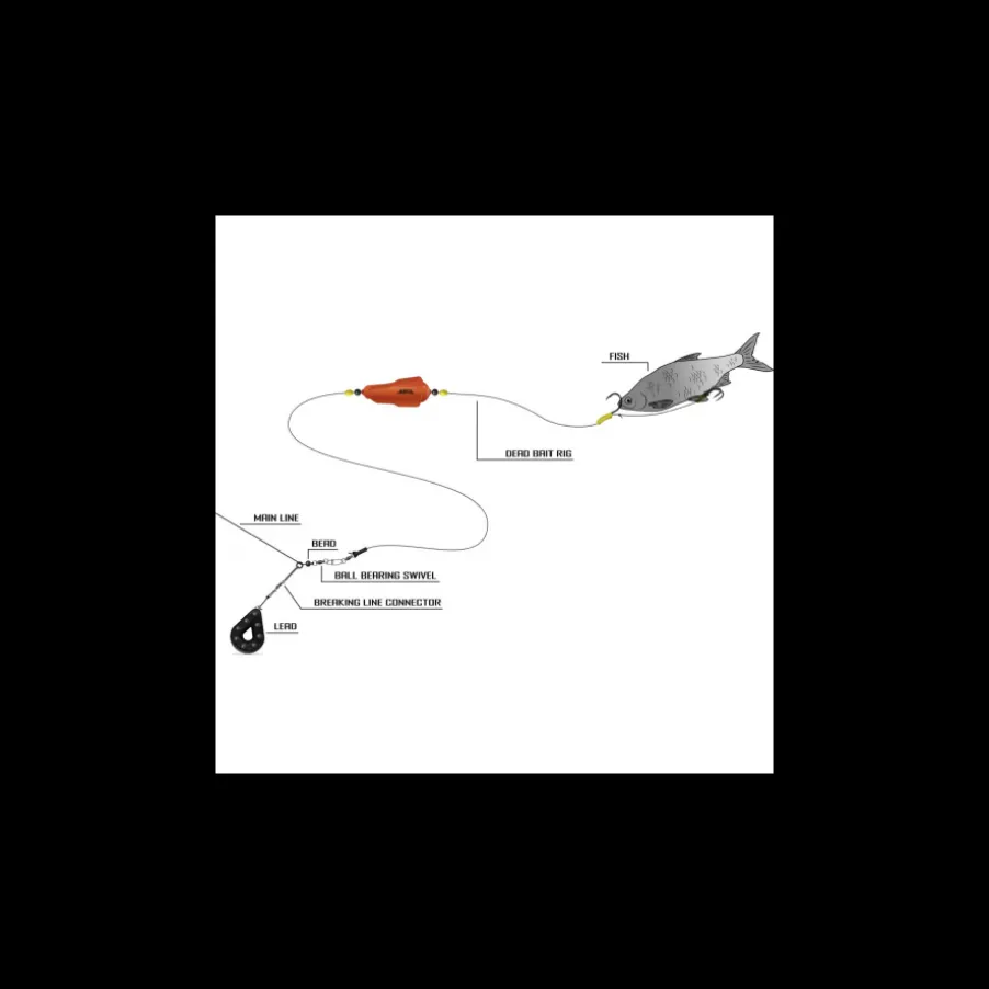 Montage Black Cat Dead Bait Rig