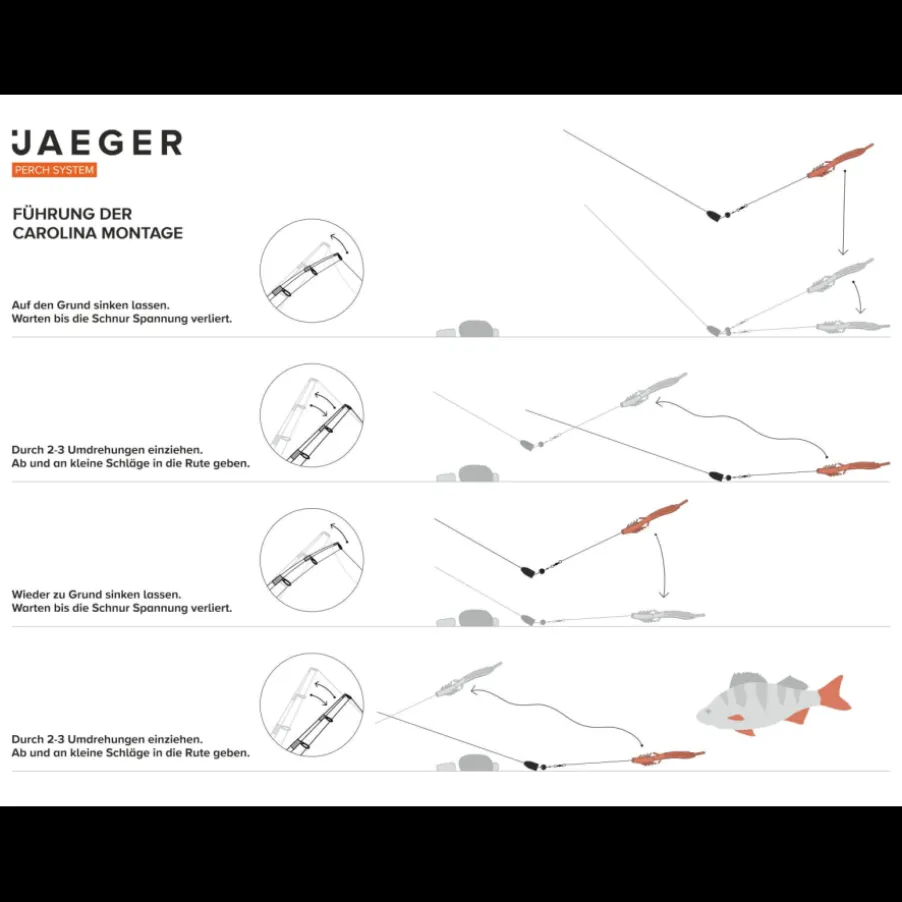 Montage Jaeger Carolina Rig