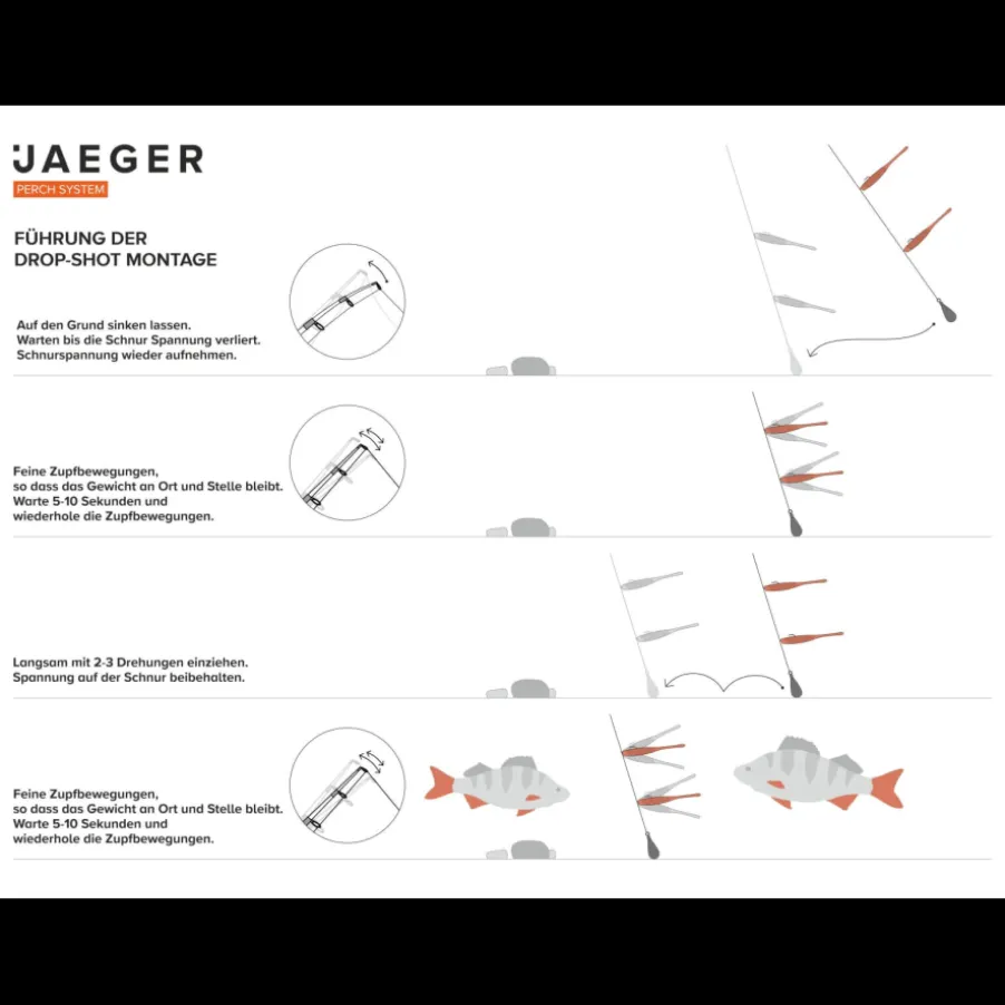 Montage Jaeger Drop Shot Rig