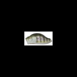 Poisson Nageur Adusta Zacrawl Jr Dash 6,5cm