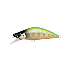 Poisson Nageur Bassday Mononofu 45S