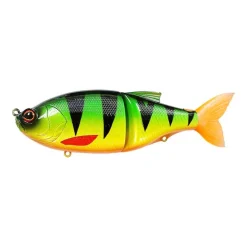 Poisson Nageur Biwaa Glidebeast 160S