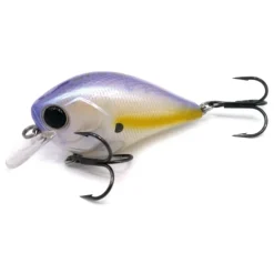 Poisson Nageur Damiki BTC 60