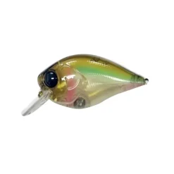 Poisson Nageur Damiki BTC 60