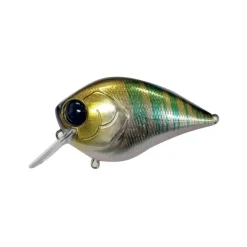 Poisson Nageur Damiki BTC 60