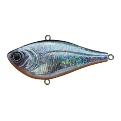 Poisson Nageur Damiki Napjaru 6cm