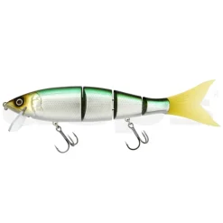 Poisson Nageur Deps Highsider 220