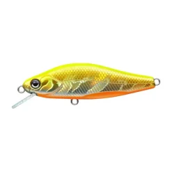 Poisson Nageur Evergreen Nelmezzo 50 FS