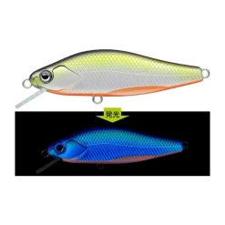 Poisson Nageur Evergreen Nelmezzo 50 FS