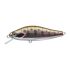 Poisson Nageur Evergreen Nelmezzo 50 FS