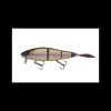 Poisson Nageur Galapagos Grace 210 L