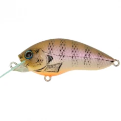 Poisson Nageur Grassroots Runbbit 58 F