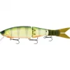 Poisson Nageur Grassroots Runaboot 210 F