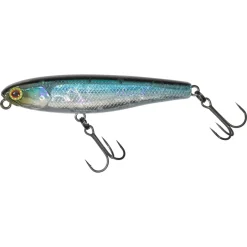 Poisson Nageur Illex Bonnie 65