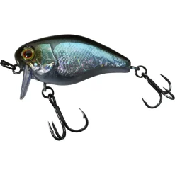 Poisson Nageur Illex Chubby 41 SSR