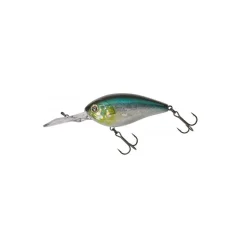 Poisson Nageur Illex Digle 4 +