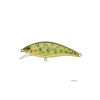 Poisson Nageur Illex Flat Tricoroll 55 S