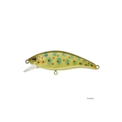 Poisson Nageur Illex Flat Tricoroll 55 S