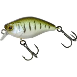 Poisson Nageur Illex Micro Chubby 30