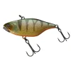 Poisson Nageur Illex TN 80