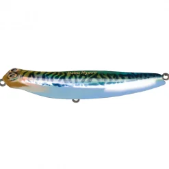Poisson Nageur Jackson Debu Nyoro 120