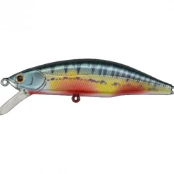 Poisson Nageur Jackson Meteora 52