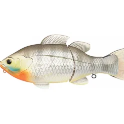 Poisson Nageur Lucky Craft Real BG 165S