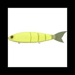 Poisson Nageur Madness Balam 200
