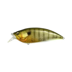 Poisson Nageur Megabass Big M 2.0