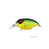 Poisson Nageur Megabass New SRX Griffon 43mm