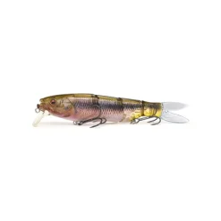 Poisson Nageur Megabass Spine-X 190 F