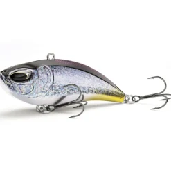 Poisson Nageur Nays LPR 75