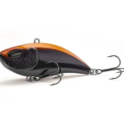 Poisson Nageur Nays LPR 55