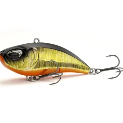 Poisson Nageur Nays LPR 55
