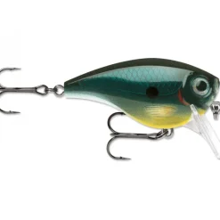 Poisson Nageur Rapala BX Mid Brat 6cm