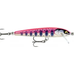 Poisson Nageur Rapala Floater Elite 8,5cm