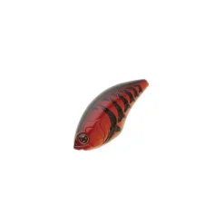 Poisson Nageur Sakura SCB 400 F