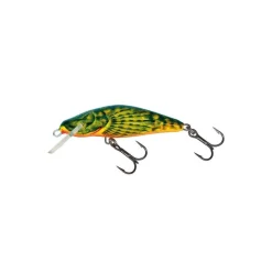 Poisson Nageur Salmo Bullhead
