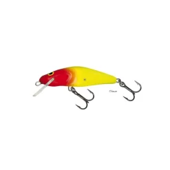 Poisson Nageur Salmo Bullhead
