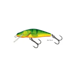 Poisson Nageur Salmo Bullhead