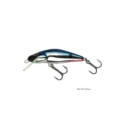Poisson Nageur Salmo Bullhead