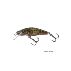 Poisson Nageur Salmo Bullhead