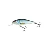 Poisson Nageur Salmo Executor