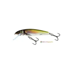 Poisson Nageur Salmo Minnow Coulant 6cm