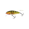 Poisson Nageur Salmo Perch